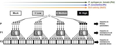 Costs and Benefits of Transgenerational Induced Resistance in Arabidopsis